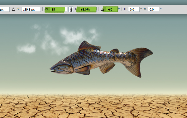 Create Surreal Photo Manipulation Desert Fish