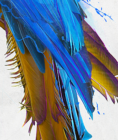 Parrot Design with Dispersion Effects in Photoshop