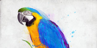 Parrot Design with Dispersion Effects in Photoshop